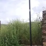 Farola solar en el campo. Xanquímicos suministran mobiliario urbano a medida para espacios públicos